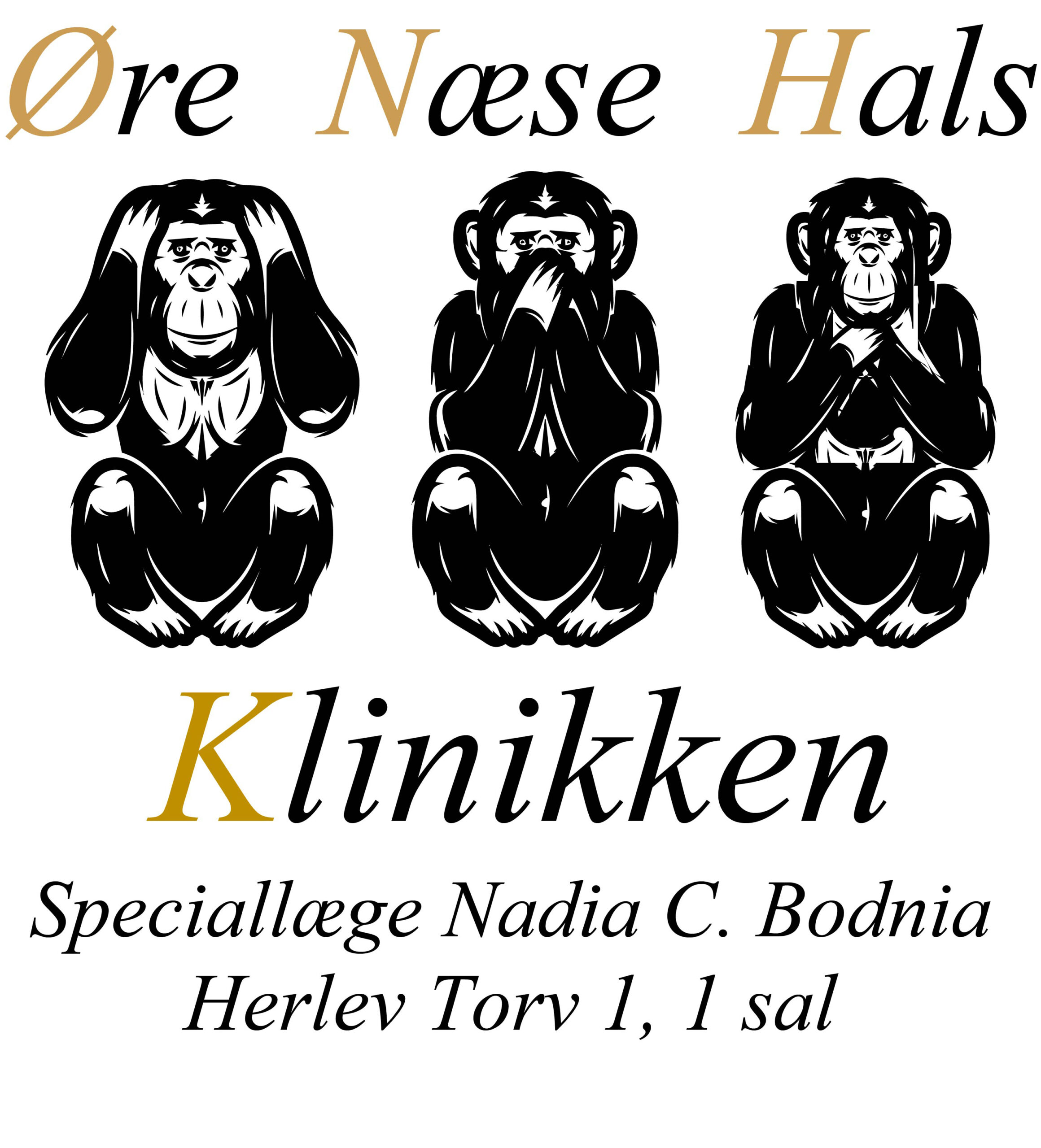 Øre,- næse ,- halsklinikken i Herlev